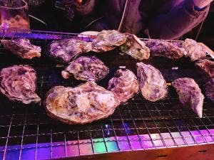 光のビアガーデン