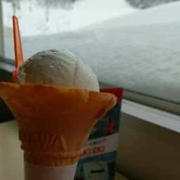 ブルーシール ガーラ湯沢店