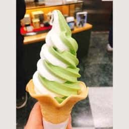茶の君野園