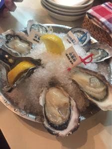 エカイエJP