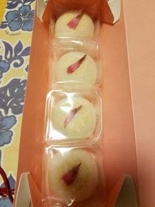 たねや あべのハルカス近鉄店