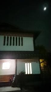 玉島 鳥屋 咲