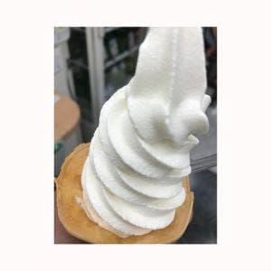 茶の君野園