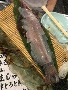 高槻豊丸