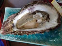 天然活魚 今新