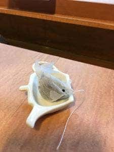 ひじかた園 ティールーム