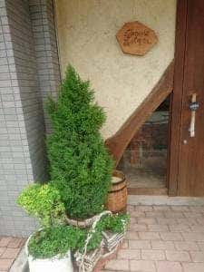 森のくまさん
