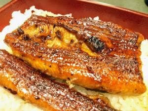 魚元