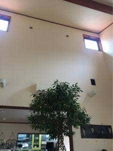 風見鶏