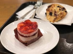 スターバックス コーヒー 熊本ゆめタウン光の森店
