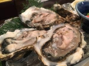 牡蠣ひよっこ商店 胡町店