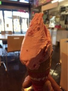 Premium Gelato みるく 道の駅 サシバの里いちかい