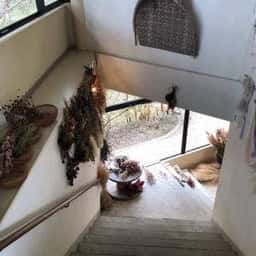 青島ハンモック