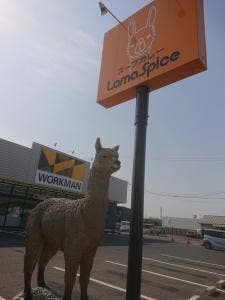 スープカレー ラマスパイス