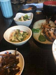 いこいの里