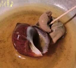 居酒屋白牡丹本店