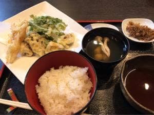 菜夏