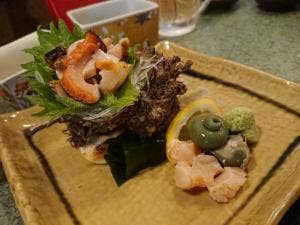 お馬のおやこ