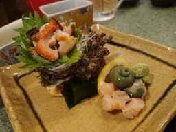 お馬のおやこ
