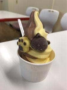 売店 群馬サファリパーク