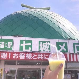 道の駅七城メロンドーム