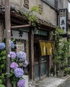 魚芳