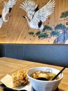 コルシカUDON