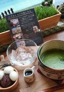 やなか健真堂