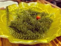 美ら島