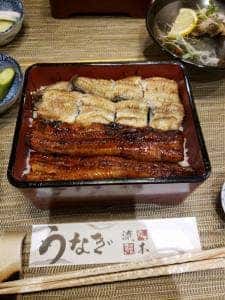 町田 うなぎ 流木