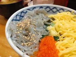 ハルミ
