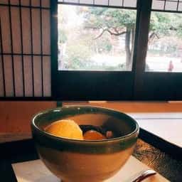 旧岩崎邸庭園 お茶席