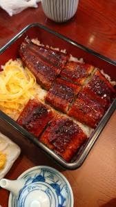 うなぎ 古蓮