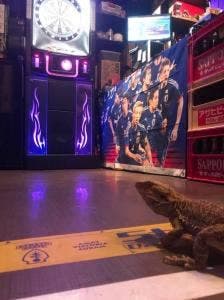 Sport bar FOOT 加古川駅前店