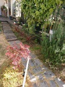 山カフェ アネテアニヴェール