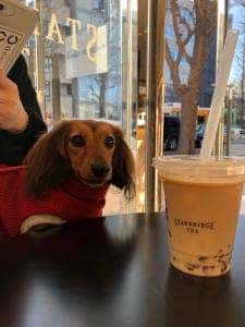 STARBRIDGE TEA