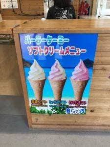 パーラーターミー