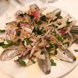 Trattoria Pizzeria IL Lupone