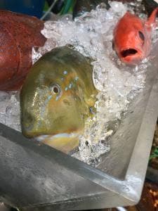 お食事処 美ら華 那覇市第一牧志公設市場