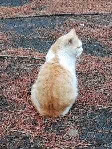 いちまる水産