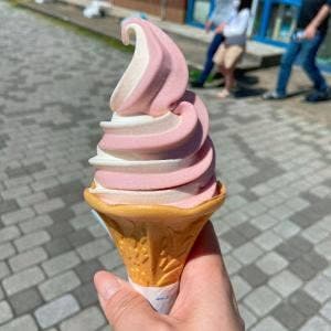 散歩カフェ