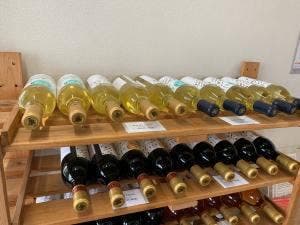長良 天然ワイン醸造