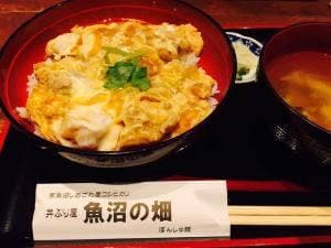 魚沼の畑
