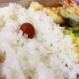 勇の里 季