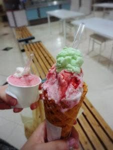 ダンディライアン