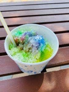 フラワーセンター 大船レストハウスペオニア