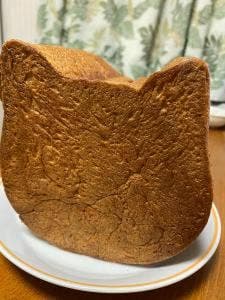 ねこねこ食パン イトーヨーカドー大森店