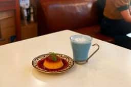喫茶 タビビトの木