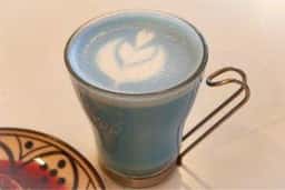 喫茶 タビビトの木