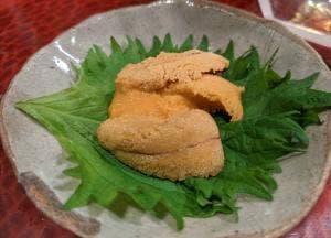 狸穴